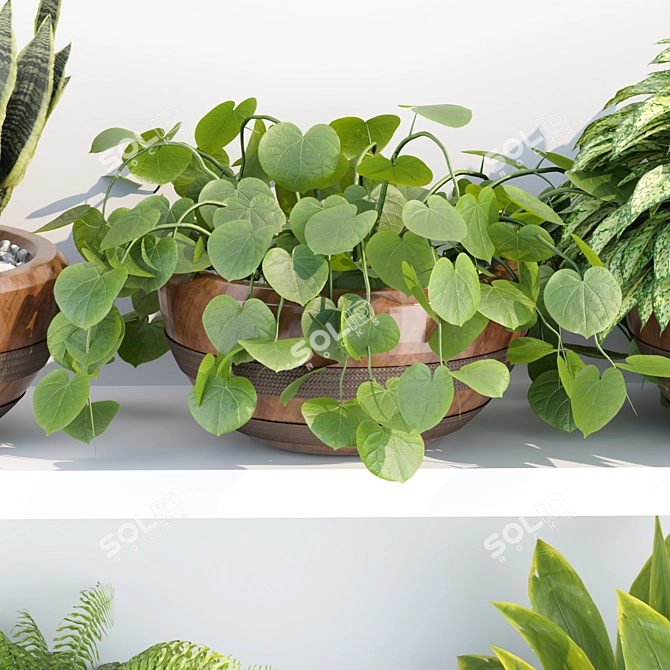 PBR Indoor Plant Shelf Collection 3D model image 3