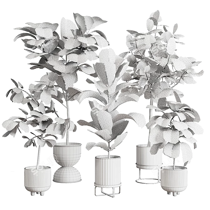 Ficus Lyrata Set in Concrete 3D model image 7