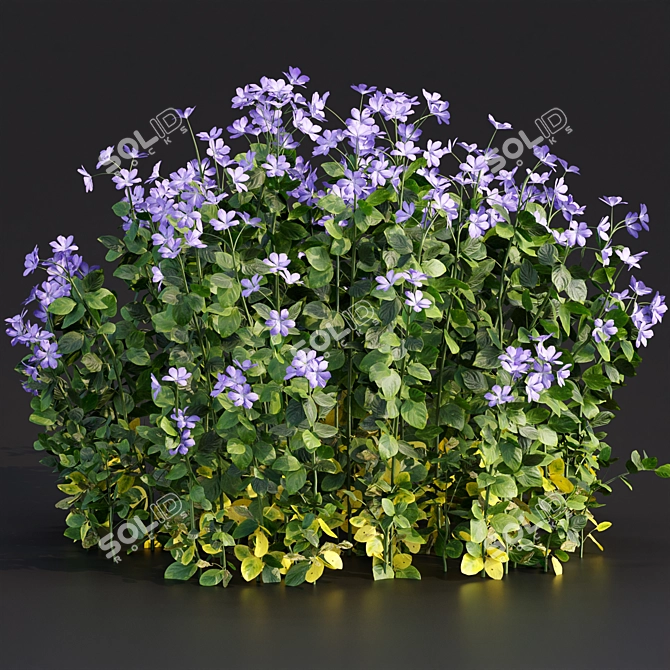 Periwinkle Floral Plants Collection 3D model image 1