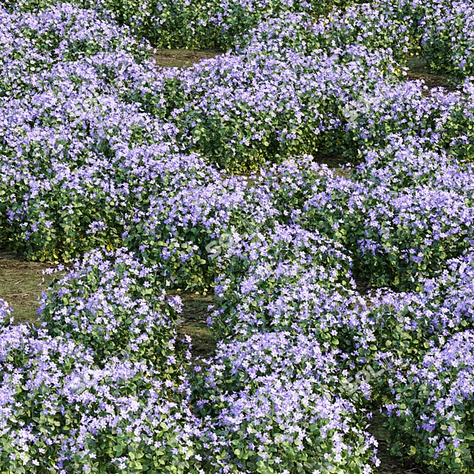 Periwinkle Floral Plants Collection 3D model image 2