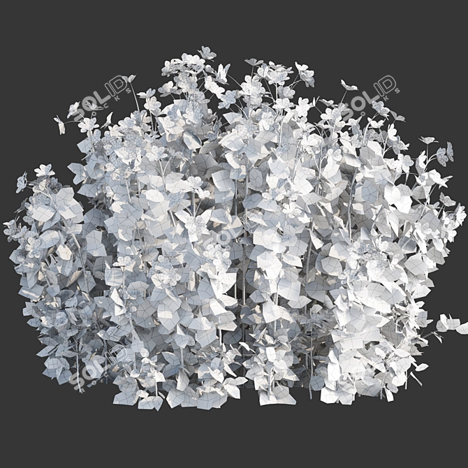 Periwinkle Floral Plants Collection 3D model image 4