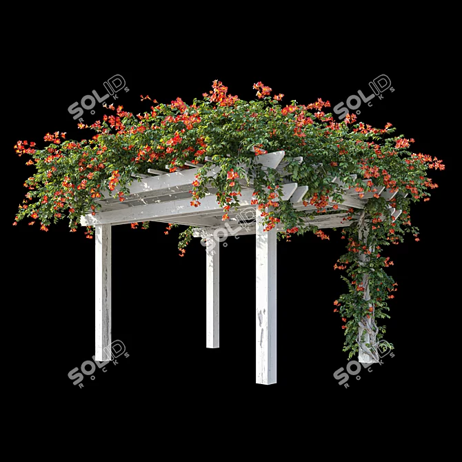 Garden Pergola with Campsis 3D model image 1