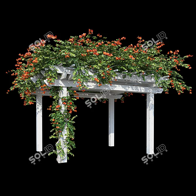 Garden Pergola with Campsis 3D model image 2