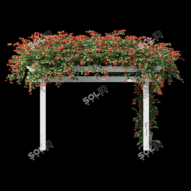 Garden Pergola with Campsis 3D model image 4