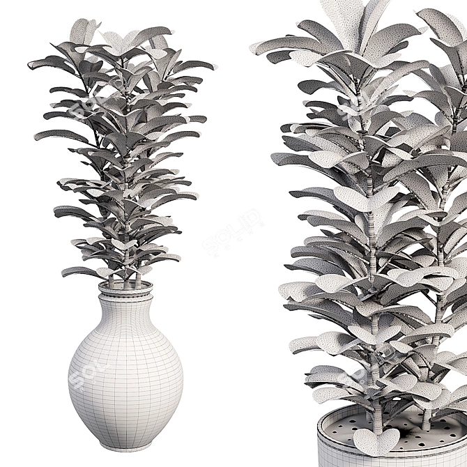 Greenery Harmony Indoor Set 3D model image 3