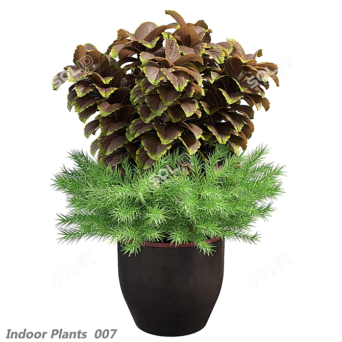 Modern Indoor Botanical Art Sculpture 3D model image 1