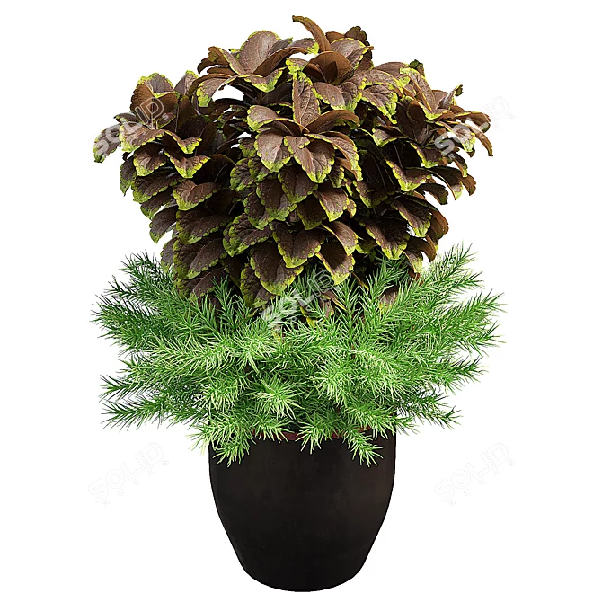 Modern Indoor Botanical Art Sculpture 3D model image 2