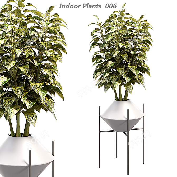 Modern Indoor Plant in Pot 3D model image 1