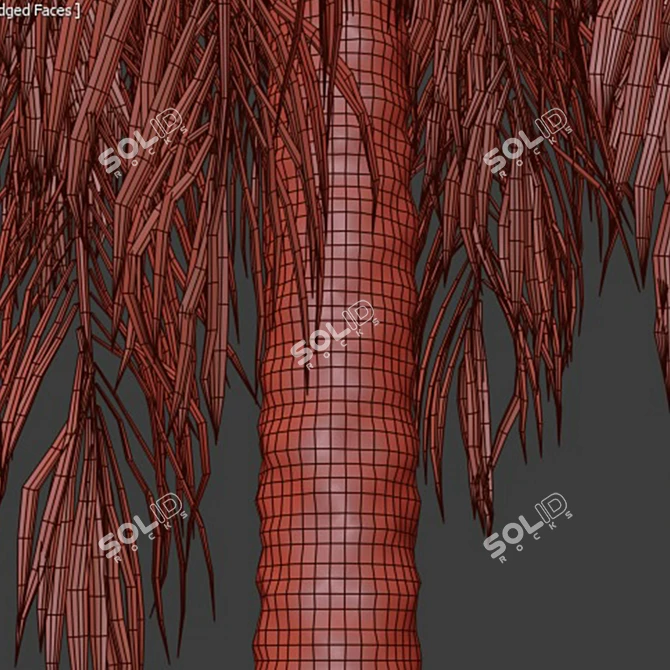 Tropical Tree Set 3D Models 3D model image 4