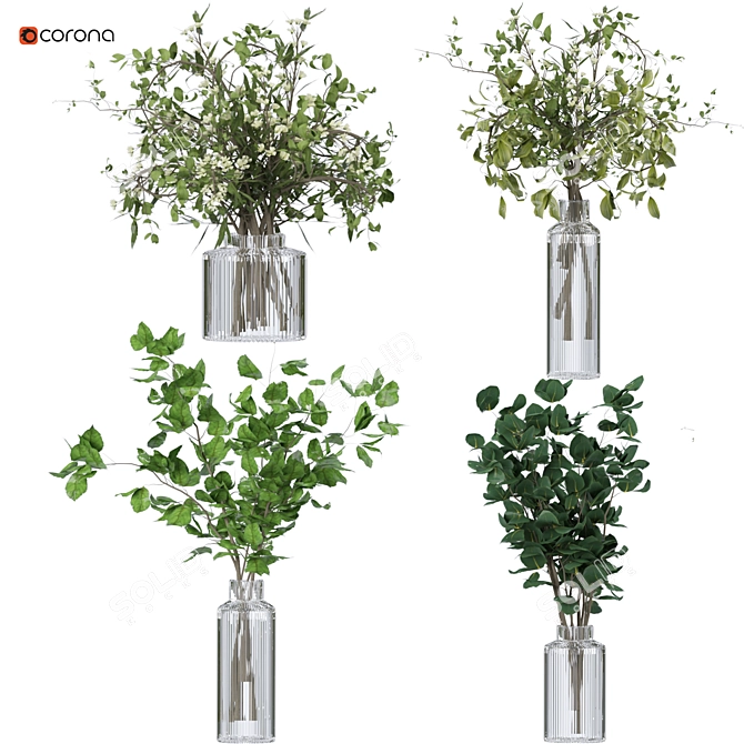 Corona Plant 3D Model 2015 3D model image 1