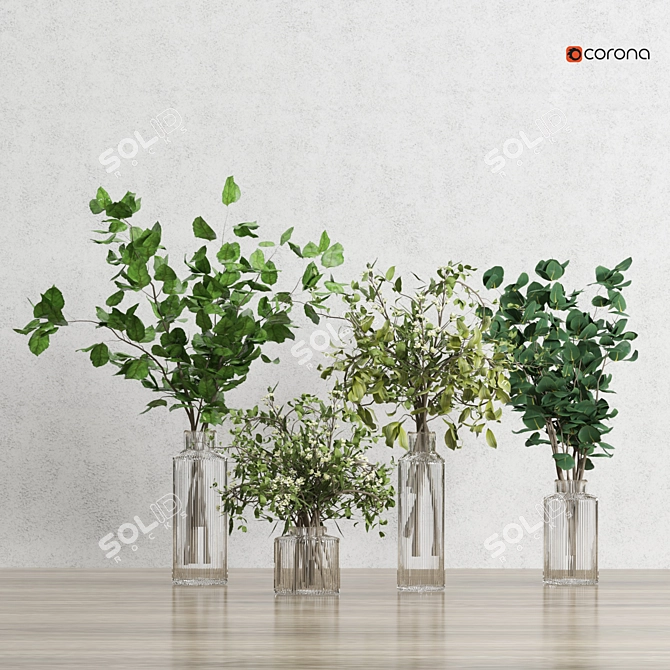 Corona Plant 3D Model 2015 3D model image 2