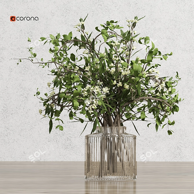 Corona Plant 3D Model 2015 3D model image 3