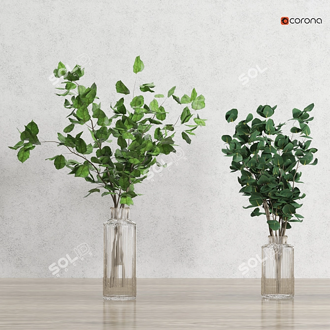 Corona Plant 3D Model 2015 3D model image 4