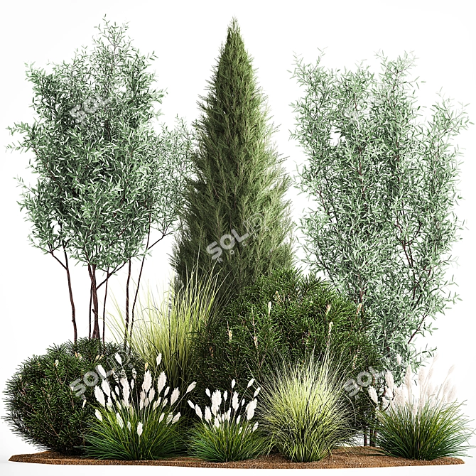 Evergreen Landscape Plant Collection 3D model image 1