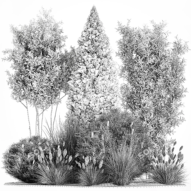 Evergreen Landscape Plant Collection 3D model image 7