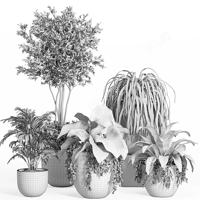 Modern Indoor Plant Set with Dark Concrete Pot 3D model image 4