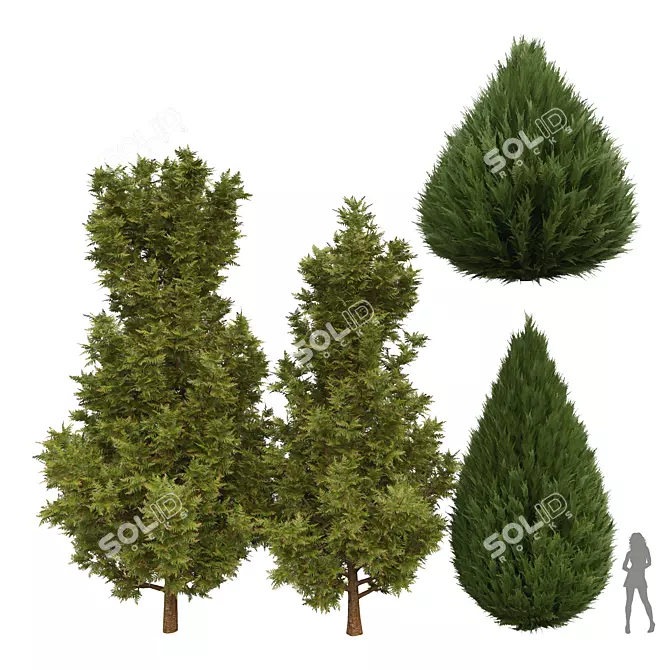 Versatile 3D Plant Models Set 3D model image 1