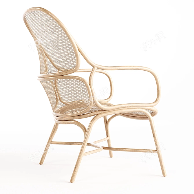 Designer Rattan Armchair 3D Model 3D model image 4