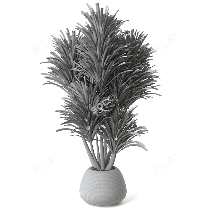 Natural Yucca Plant Decor 3D model image 2