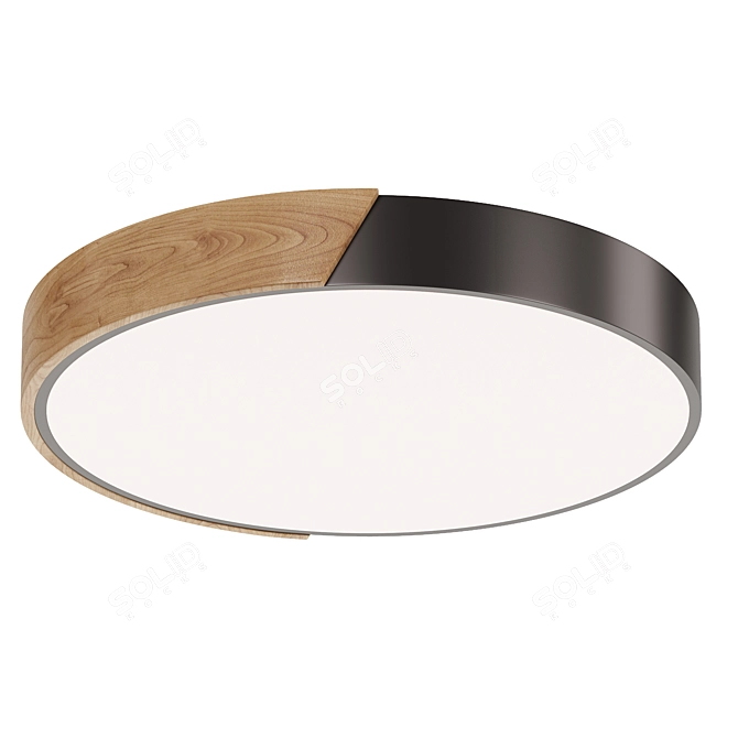 Contemporary LED Ceiling Light Fixture 3D model image 2