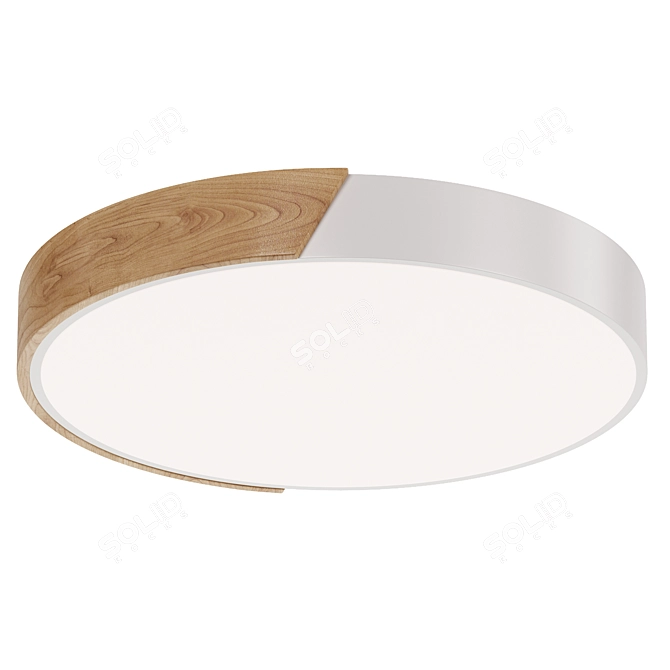 Contemporary LED Ceiling Light Fixture 3D model image 4