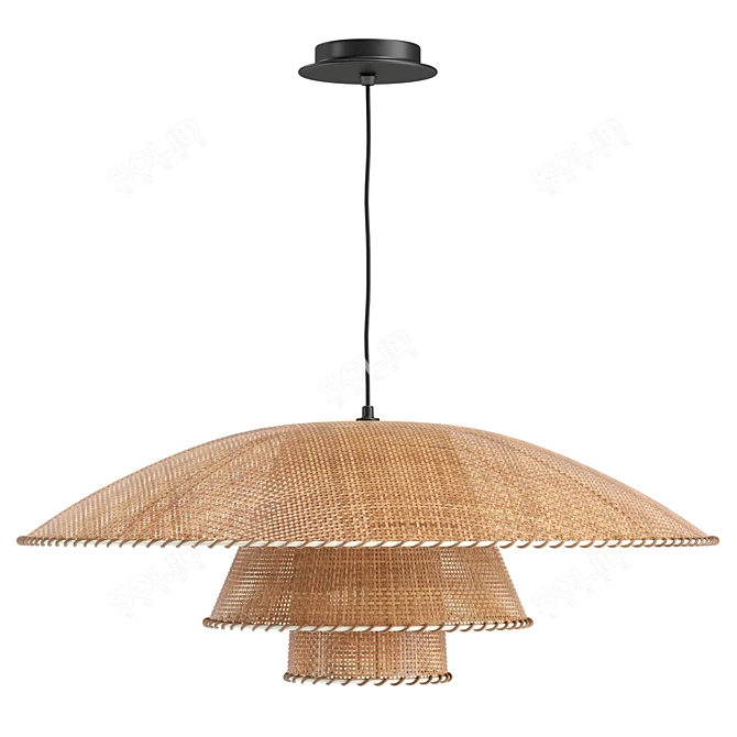 Vintage Rattan Pendant Lamp Fixture 3D model image 1