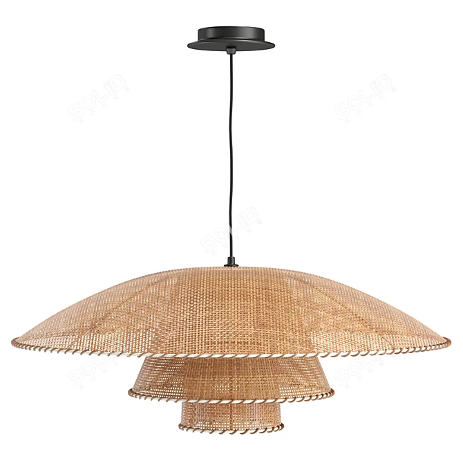 Vintage Rattan Pendant Lamp Fixture 3D model image 2