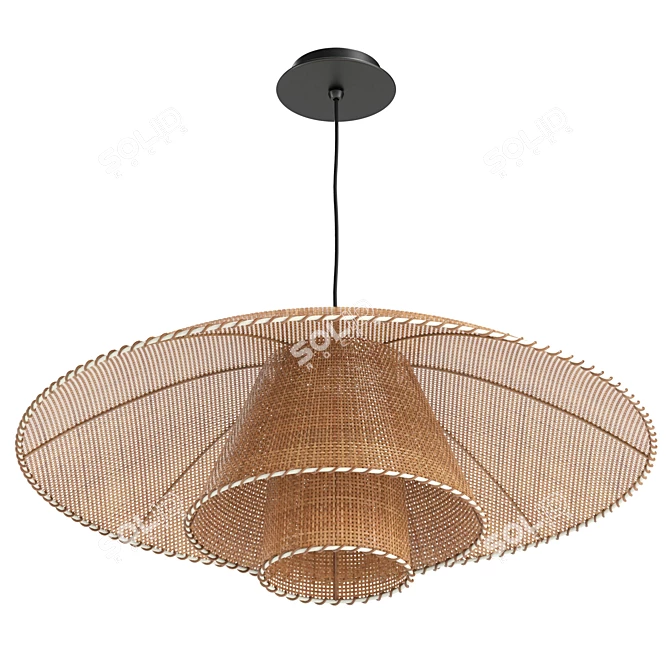Vintage Rattan Pendant Lamp Fixture 3D model image 3
