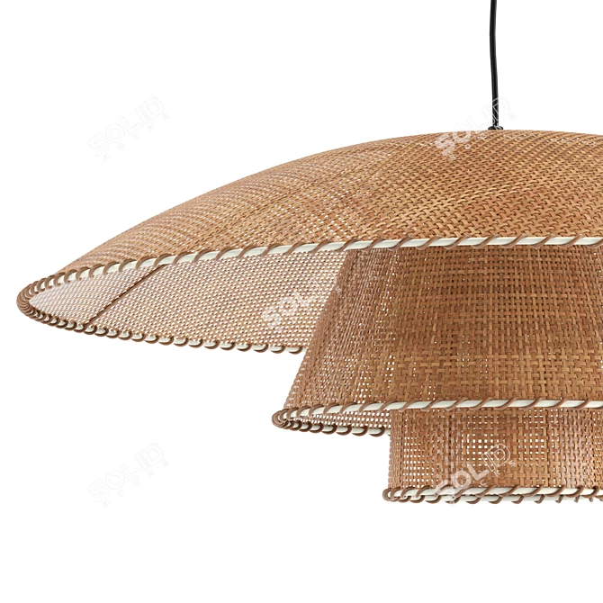 Vintage Rattan Pendant Lamp Fixture 3D model image 4