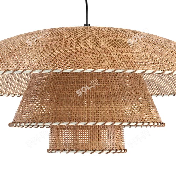 Vintage Rattan Pendant Lamp Fixture 3D model image 5
