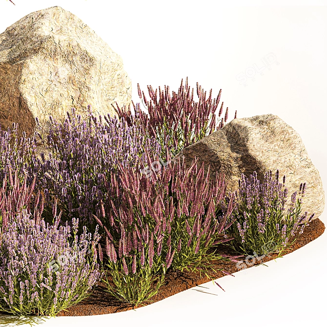 Lavender Bush Collection for Landscaping 3D model image 3