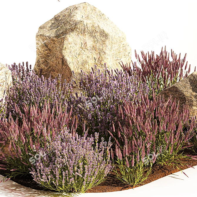 Lavender Bush Collection for Landscaping 3D model image 4