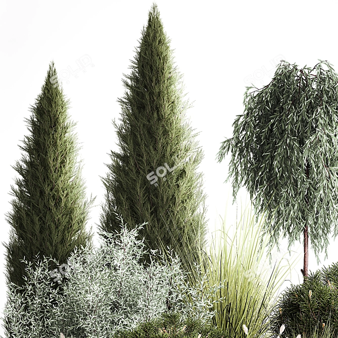 Alpine Greenery Collection: Cypress, Thuja, Olive Bushes 3D model image 2