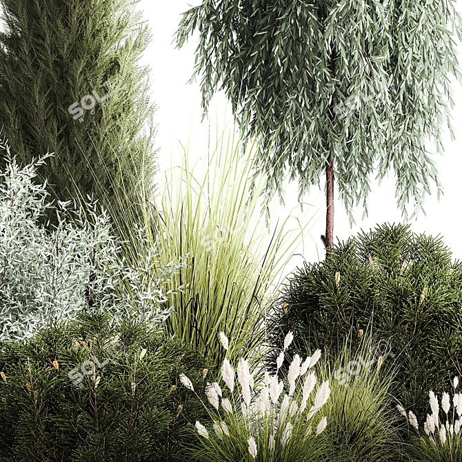 Alpine Greenery Collection: Cypress, Thuja, Olive Bushes 3D model image 3