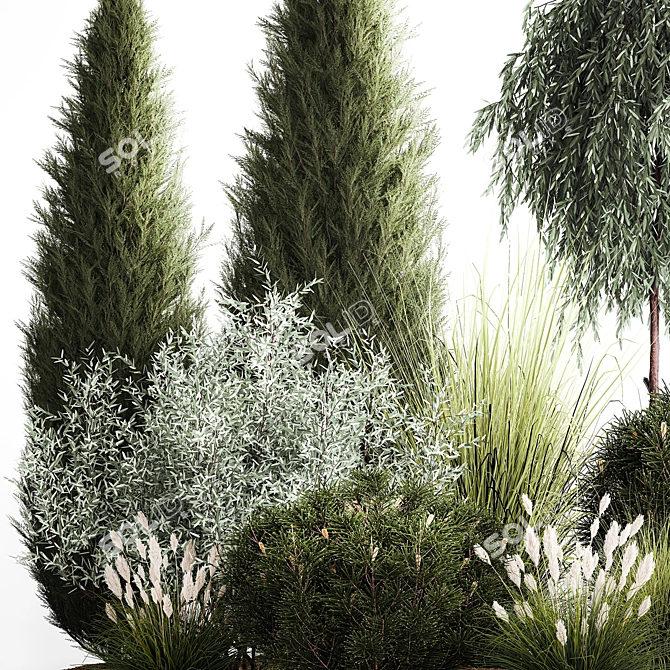 Alpine Greenery Collection: Cypress, Thuja, Olive Bushes 3D model image 4