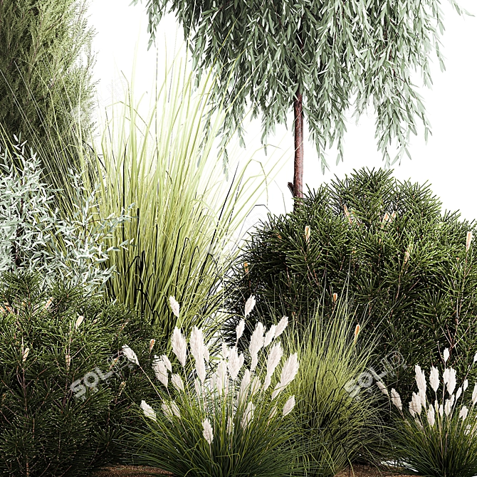 Alpine Greenery Collection: Cypress, Thuja, Olive Bushes 3D model image 5