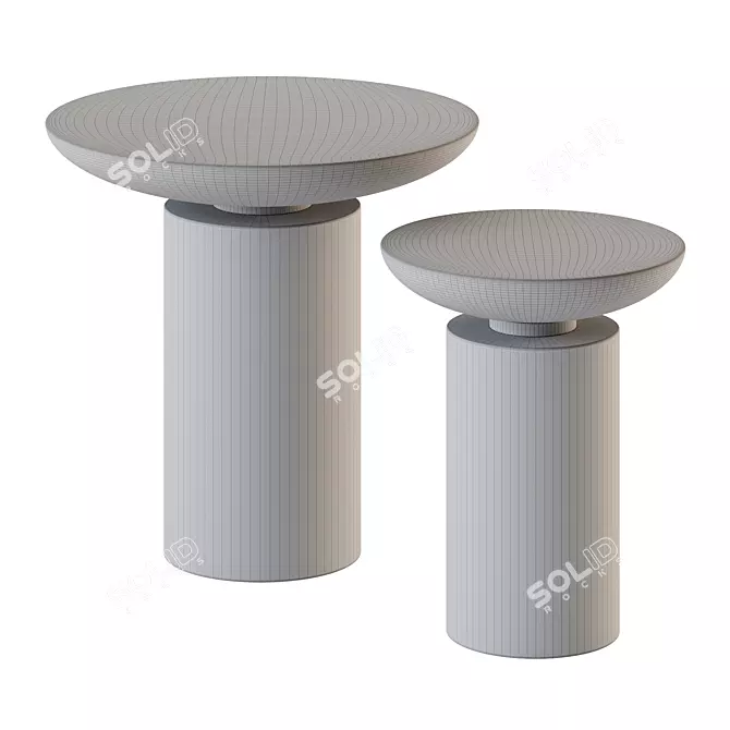Dennis Miller Cockatoo Tables Pair 3D model image 3