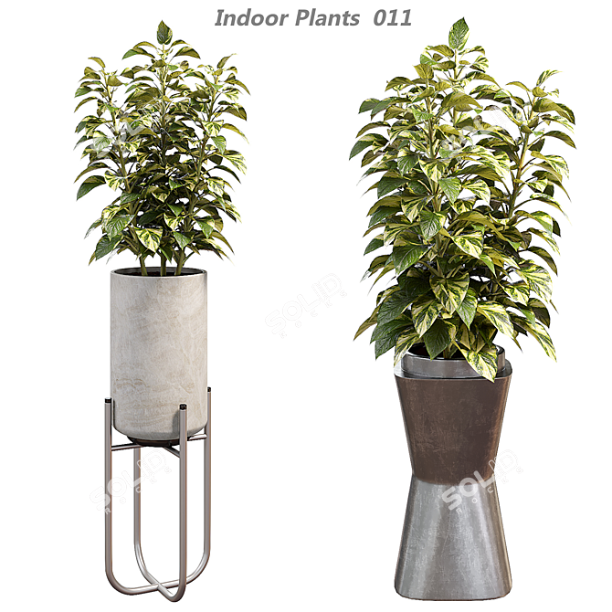 Modern Indoor Plant Decor 011 3D model image 1