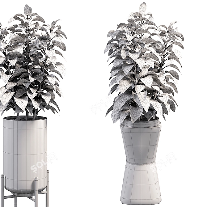 Modern Indoor Plant Decor 011 3D model image 3