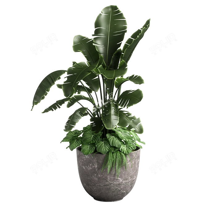 Versatile Combo Plant Models Pack 3D model image 3