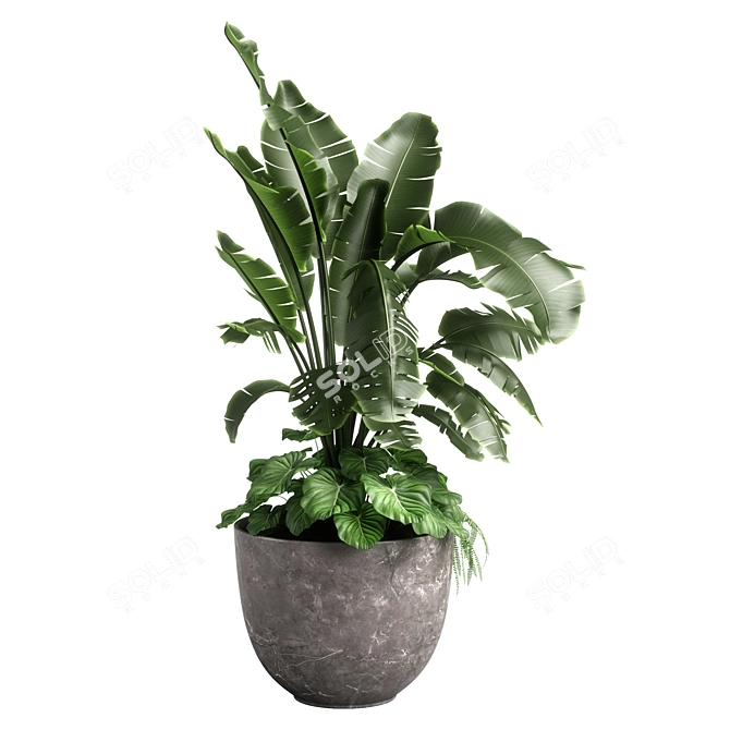 Versatile Combo Plant Models Pack 3D model image 4