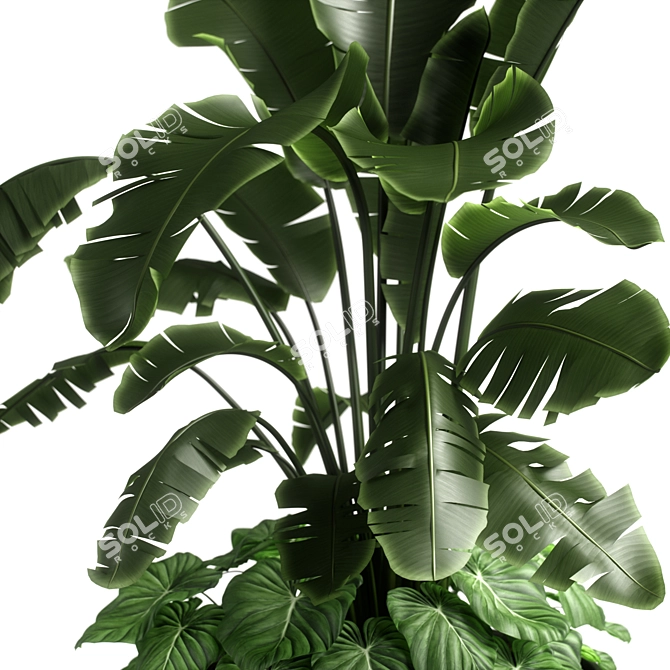 Versatile Combo Plant Models Pack 3D model image 5