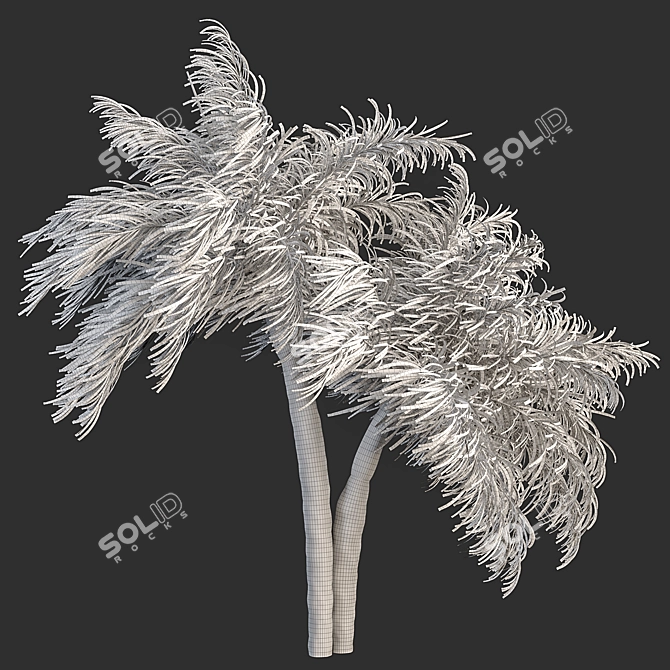 Tropical Palm Tree 3D Model 3D model image 5