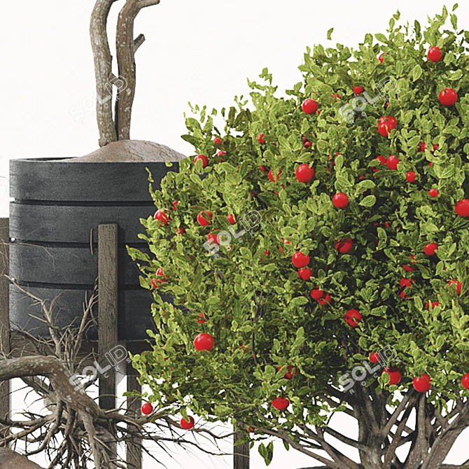 Fruit Tree Plant Collection Set 3D model image 2