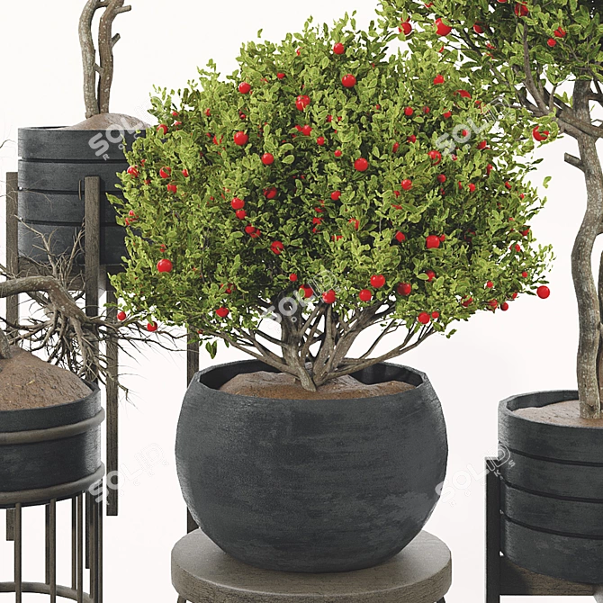 Fruit Tree Plant Collection Set 3D model image 3