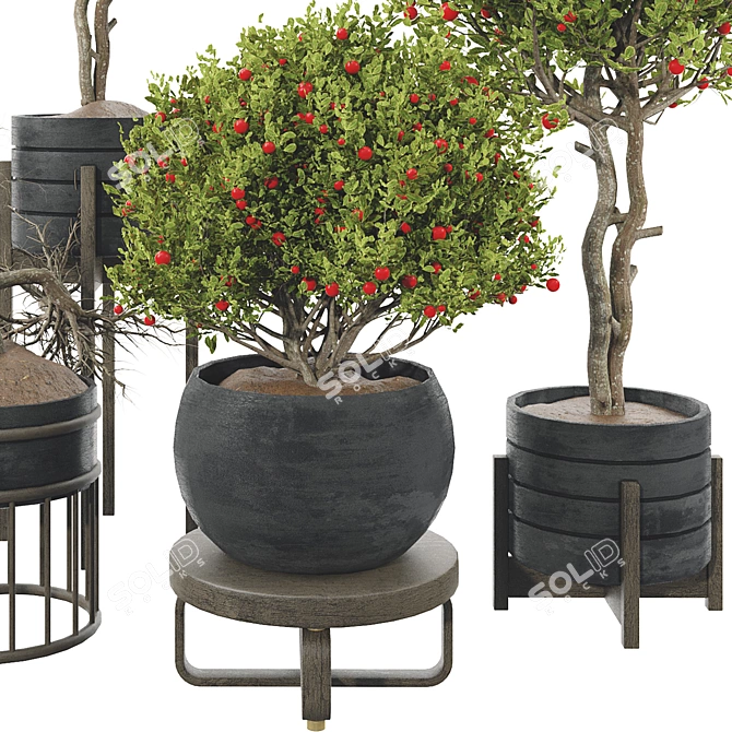 Fruit Tree Plant Collection Set 3D model image 9