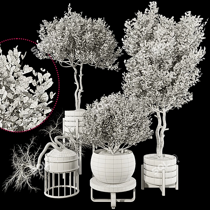 Fruit Tree Plant Collection Set 3D model image 13