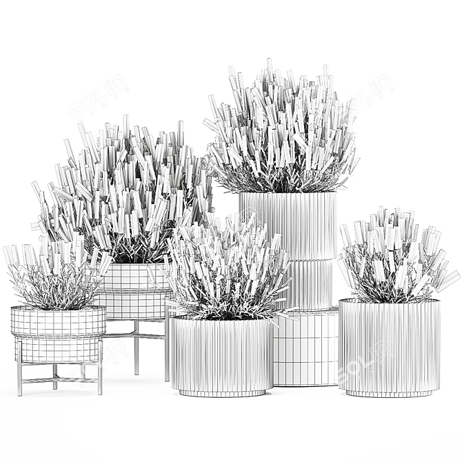 Lavender Collection for Urban Landscaping 3D model image 7