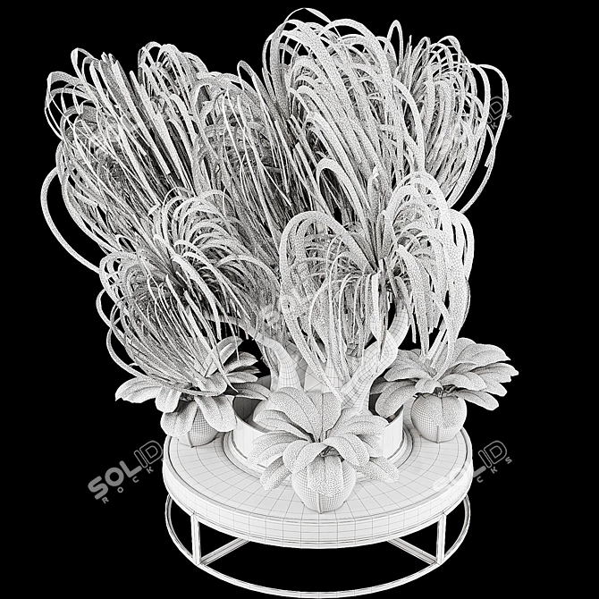 Boho Ponytail Palm Tree Set 3D model image 7