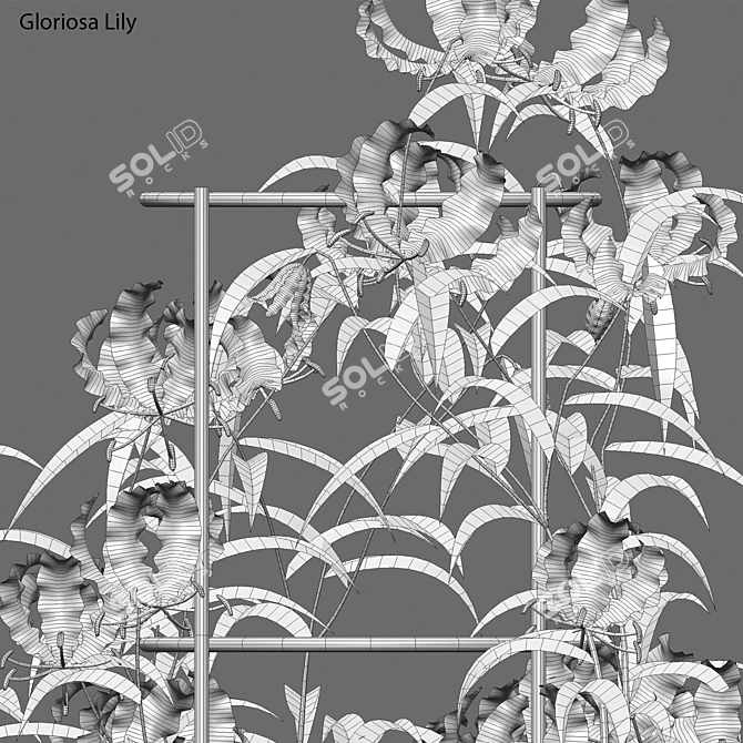 Complete 3D Gloriosa Lily Model 3D model image 5